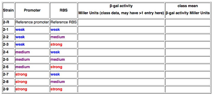 Blank lab report