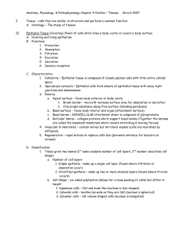 Chapters of dissertation