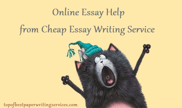 Essay writing service best