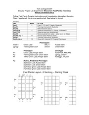 Fast plants lab report