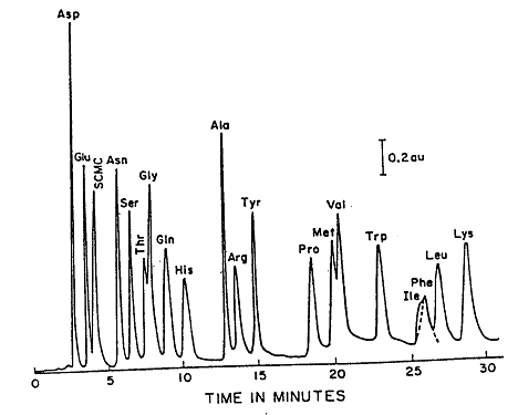 Gas chromatography lab report