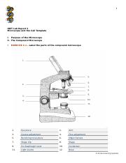 Lab report on microscope